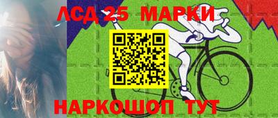 молекула духа Будённовск