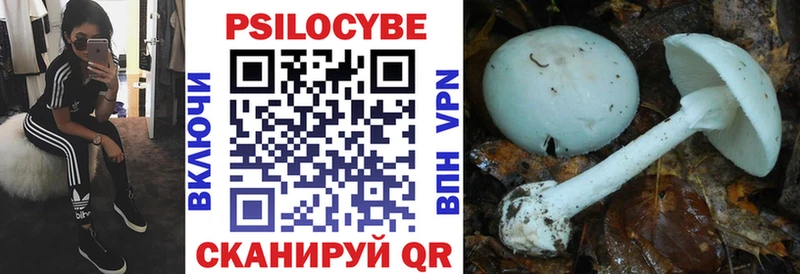 Псилоцибиновые грибы мухоморы  наркотики  mega сайт  Карасук 