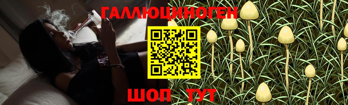 Псилоцибиновые грибы Psilocybe  цены наркотик  Карасук  Вход с VPN 